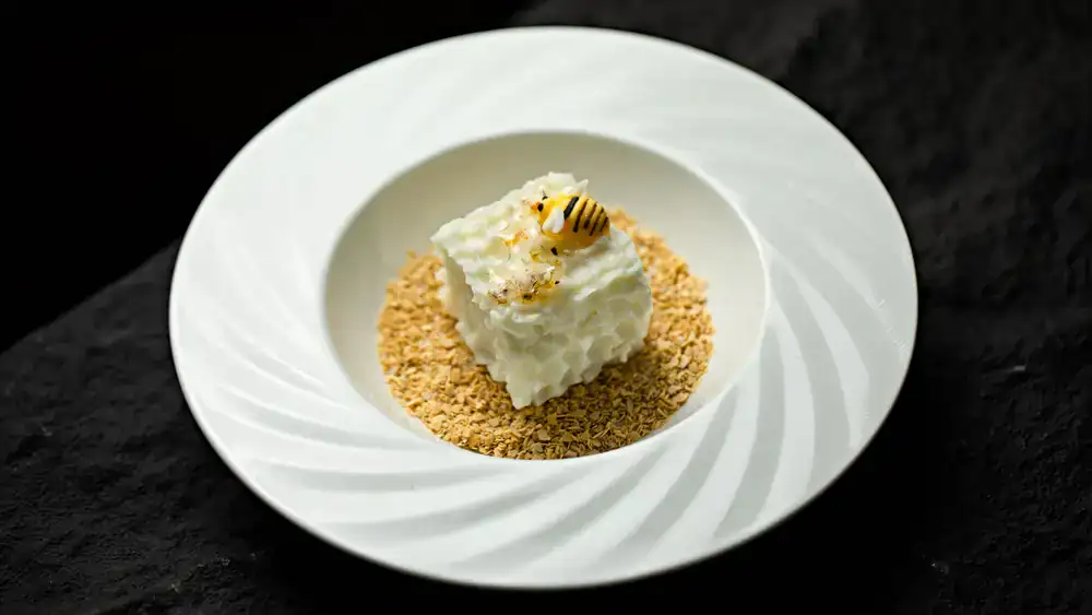 The Signature Oat & Honey Bar